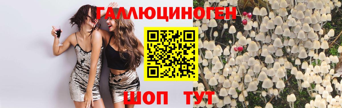 Псилоцибиновые грибы прущие грибы Серпухов